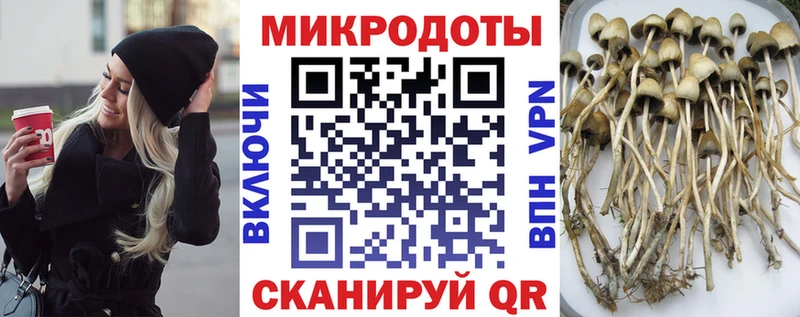 Галлюциногенные грибы прущие грибы  хочу   Сретенск 