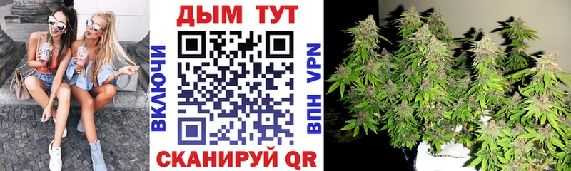 Бошки Шишки конопля  Сретенск 